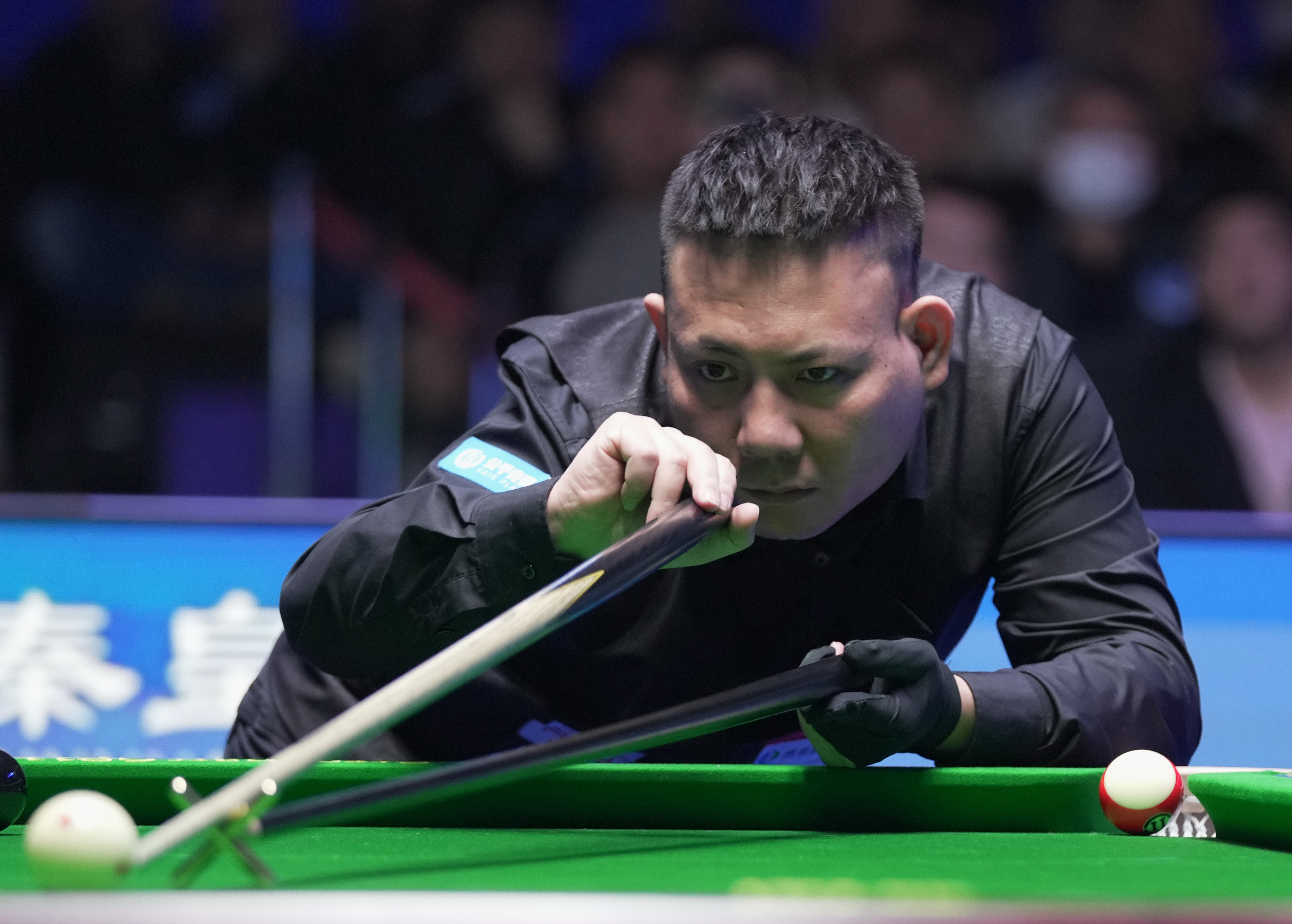 的惊喜活力 的惊喜活力